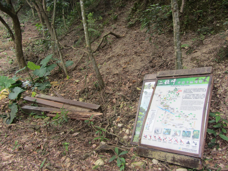 擅自墾植山林絕不寬待 林區管理處嚴懲不法行為   