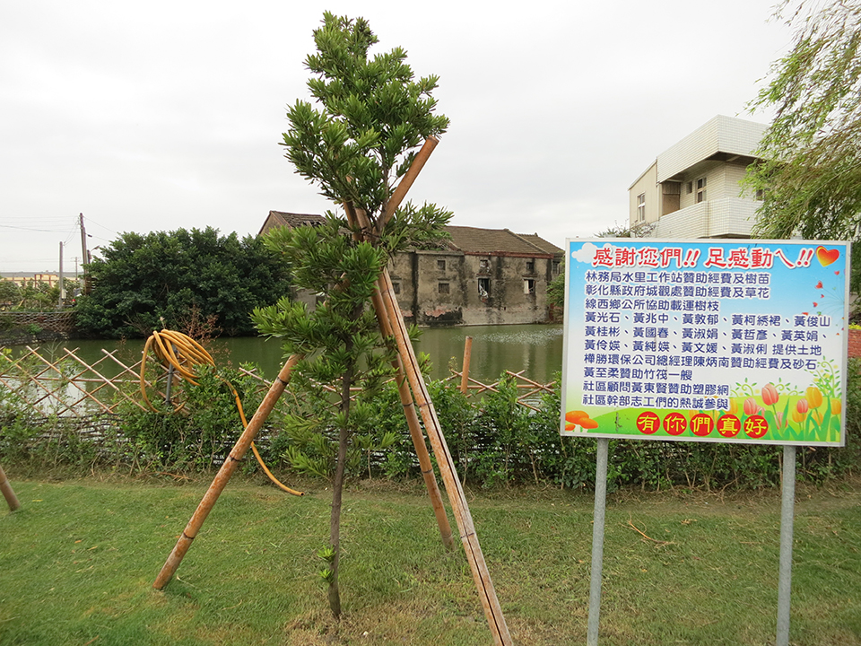 社區荒地和菜圃 變身綠地和公園