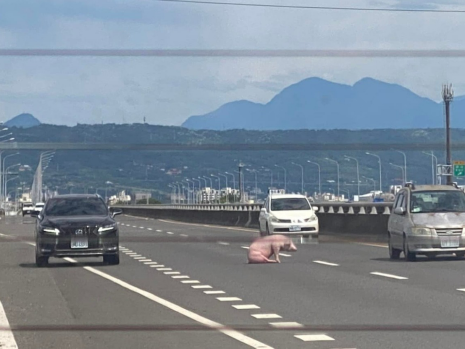 九天玄女召喚？台76上演「降肉」驚魂