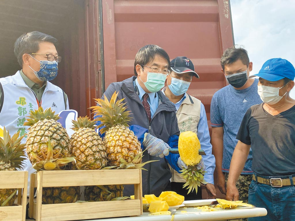 關廟鳳梨月底盛產 農憂搶購退燒