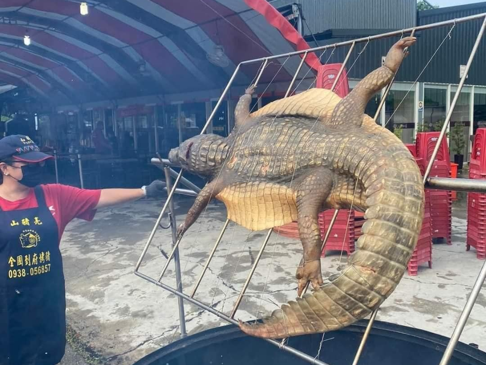 中秋烤乳豬過時！嘉義「整隻鱷魚」網上烤