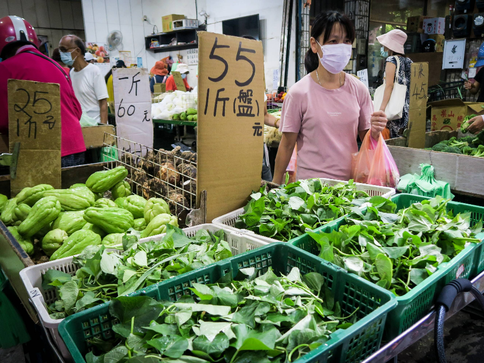 主委喊「菜價親民」煮婦跳腳：貴到我想自己種