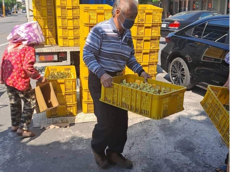 飼料太貴！彰化鴨農送出1萬多隻小鴨