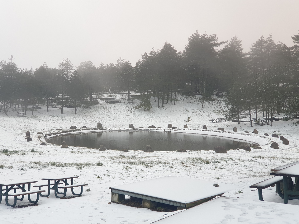 合歡山梨山下大雪！高山路段夜間封閉「限掛雪鏈」