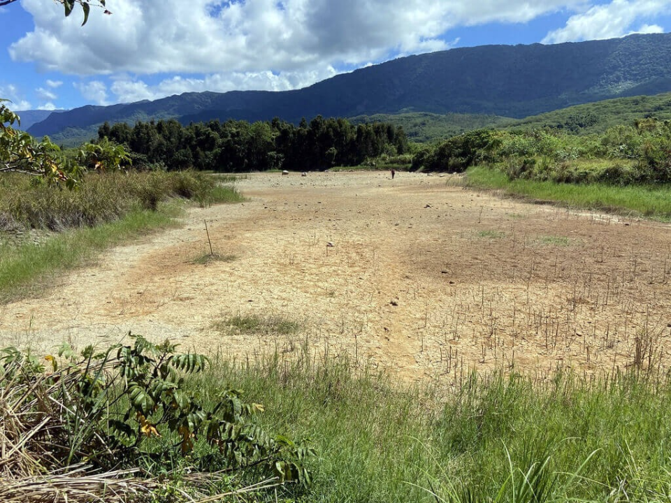  918強震影響 池上鄉溼地乾涸 延平鄉乾溪卻湧出清澈流水