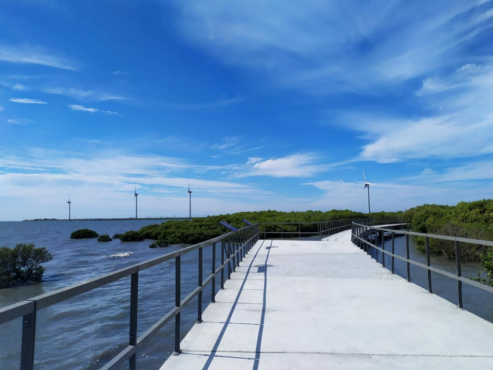 打卡新亮點 芳苑紅樹林海空步道今啟用 