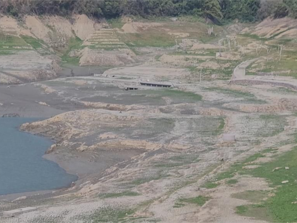 鯉魚潭水庫見底如草地! 把握低水位首次清淤