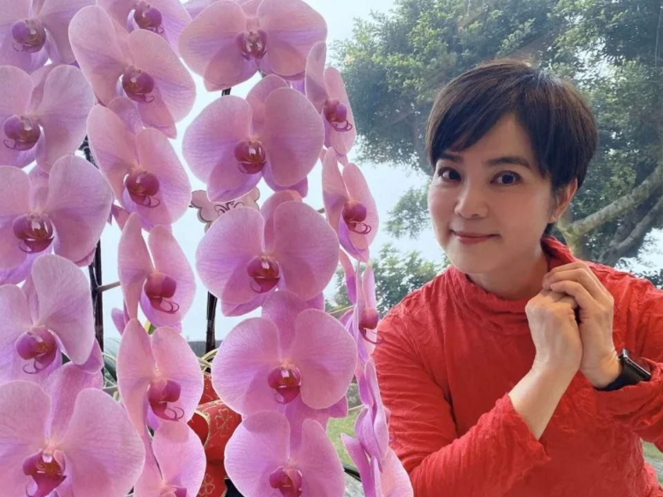 民進黨為贏選戰 公然霸凌 李艷秋嘆：台灣好悲哀