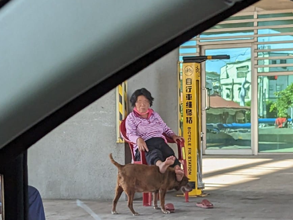 饋咖狗椅！阿嬤養的汪 後勁好強