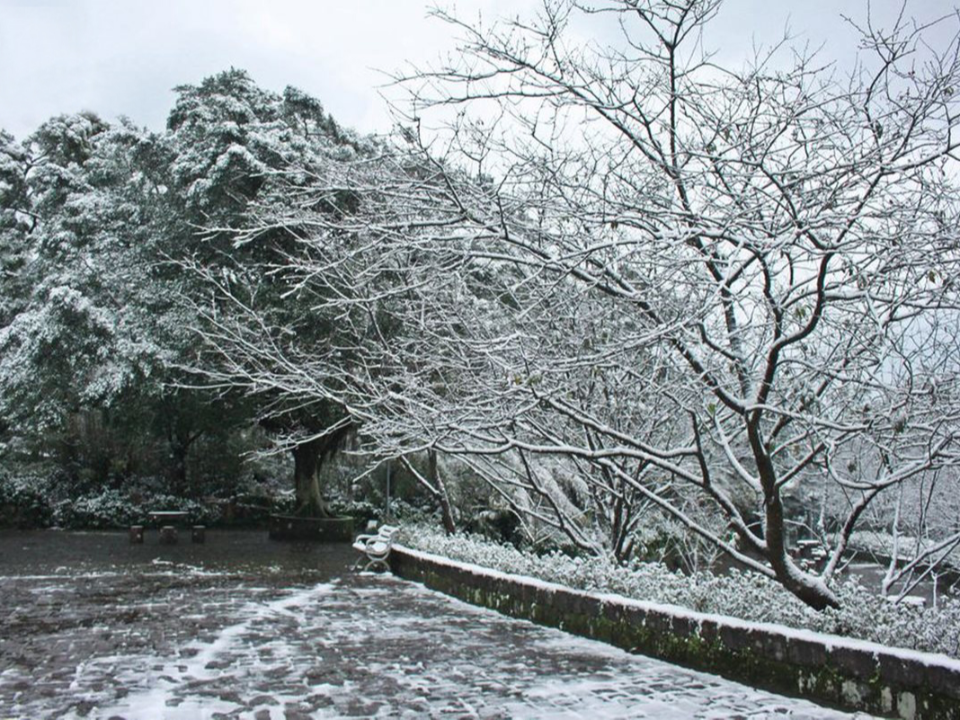 寒流急凍36小時！這天起氣溫驟降 陽明山有望降雪