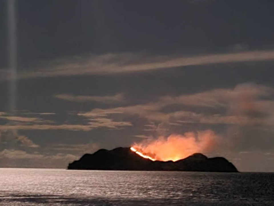 小蘭嶼無人島卻起火「全是為了羊」